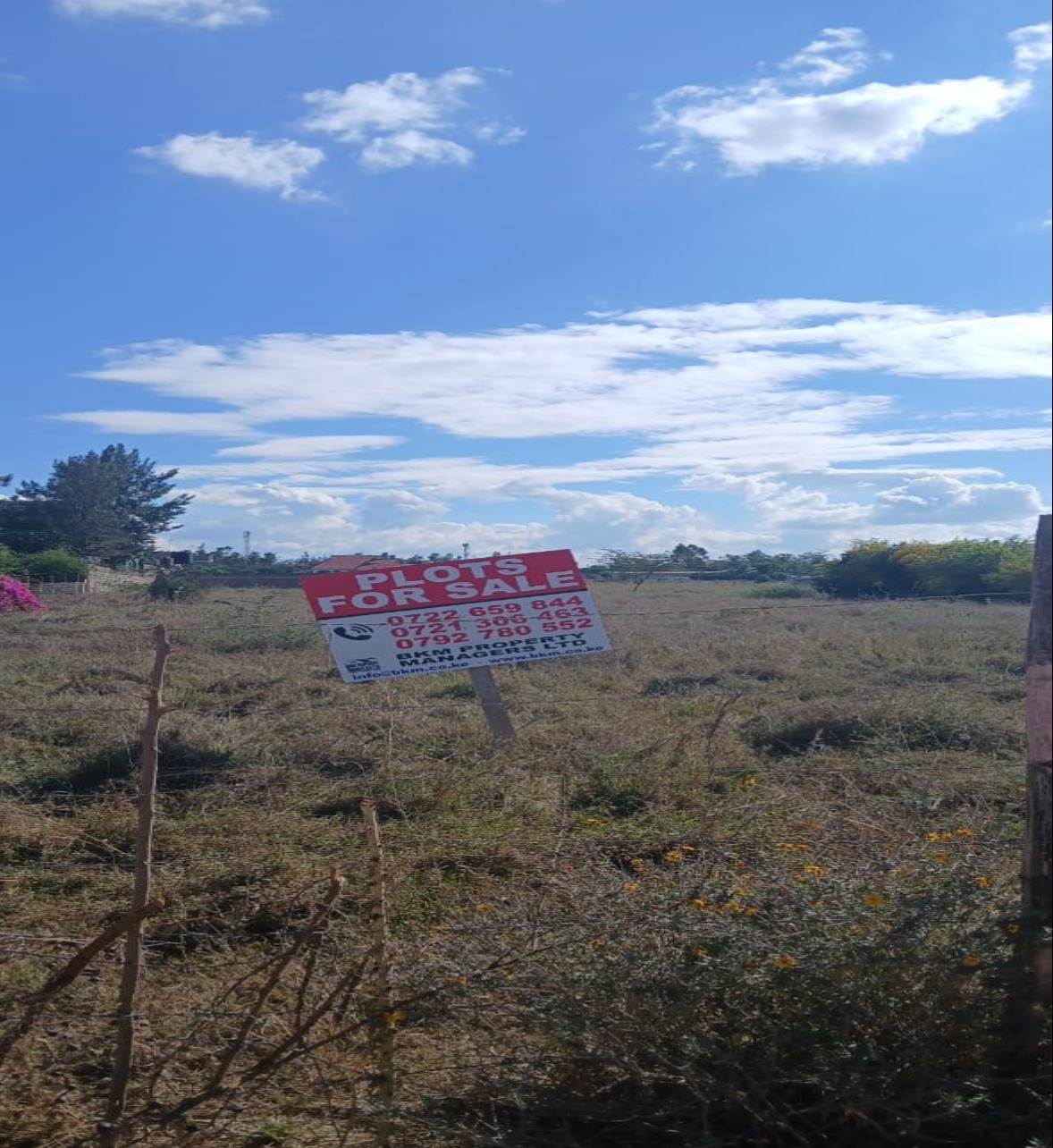 Land and plots for sale