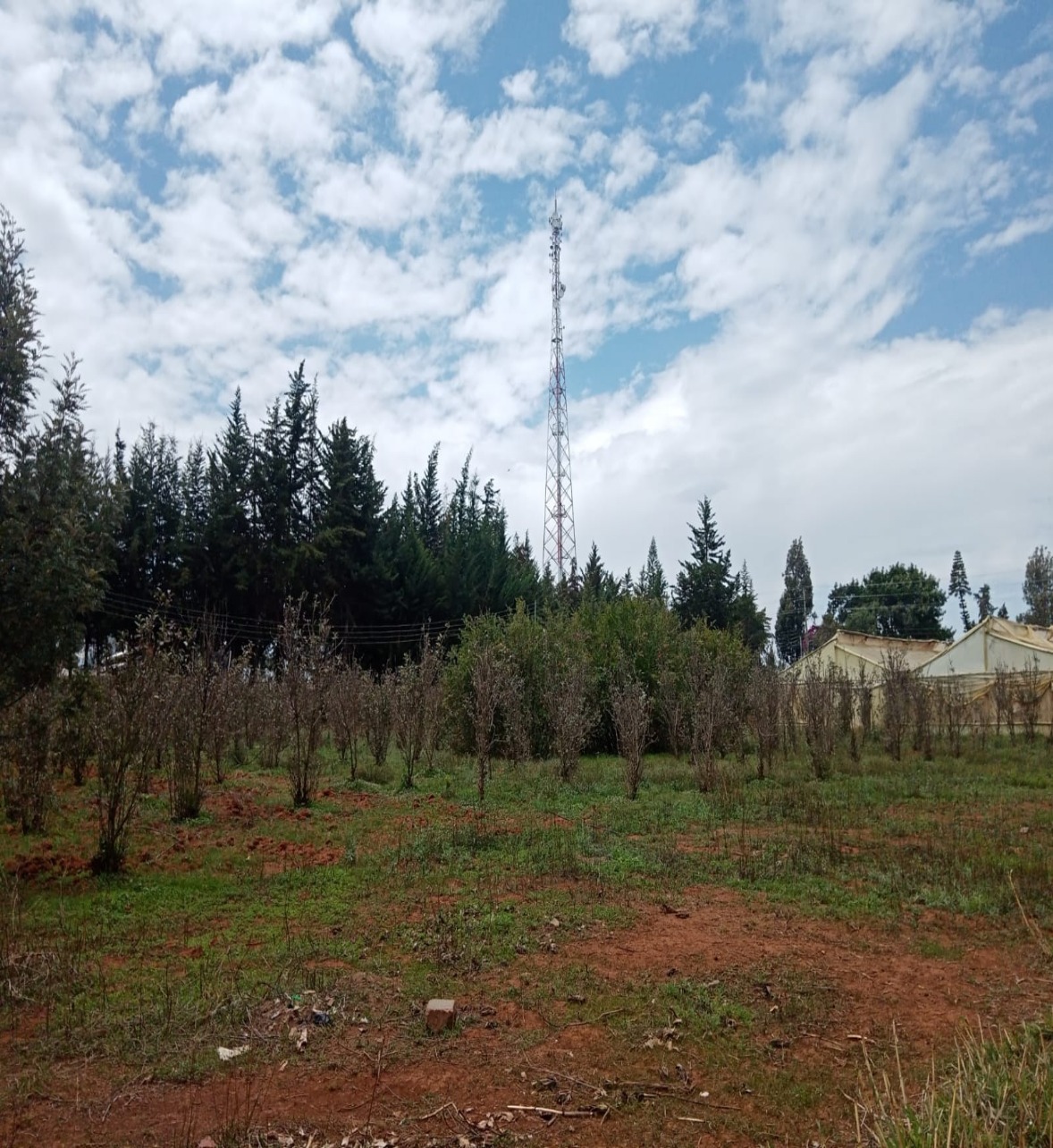 Nanyuki Land